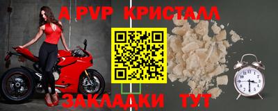 прущие грибы Донской