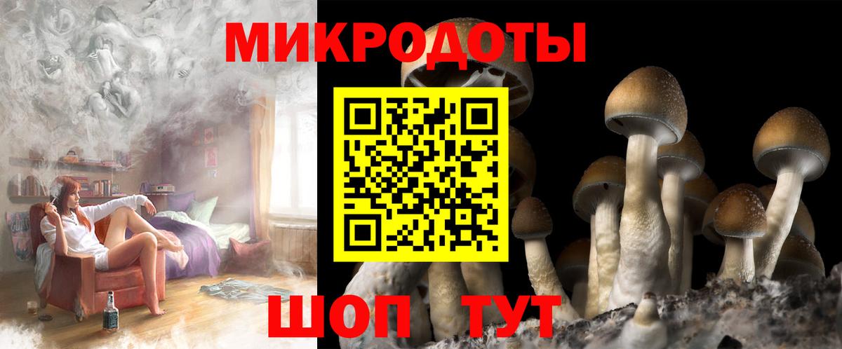 Галлюциногенные грибы ЛСД  Вход с VPN  где продают наркотики  Малоярославец  Галлюциногенные грибы Psilocybine cubensis 